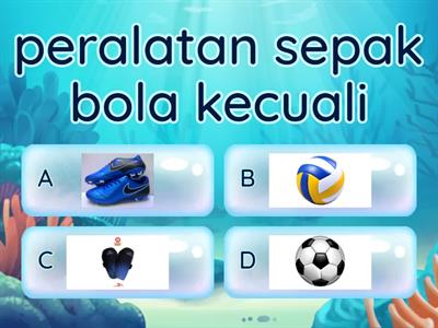 sepak bola