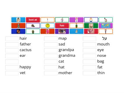 vocabulary for the test