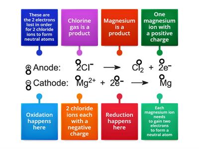 Electrolysis half equations Magnesium chloride