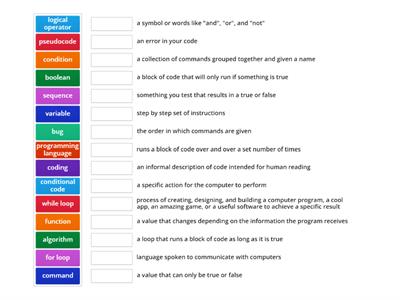 Coding Vocabulary Assessment