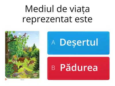 Medii de viață