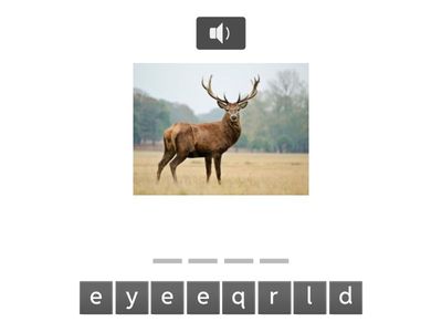 Phonics L5 Term 1 Lesson 14 - eer saying ear (I)