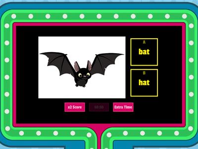 Ten vocabularies of Three letter phonic words: bat, big, leg, fox, cut, nut, jet, can, fly, cap 