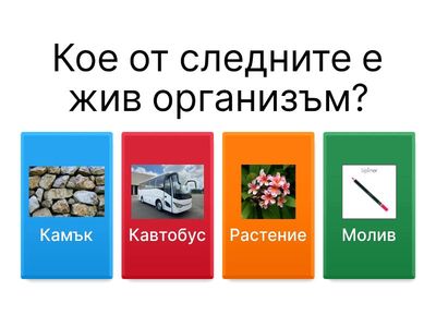 Човек и общество.