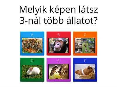 mennyiségfogalom fejlesztése