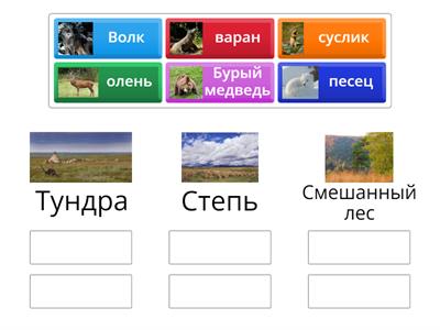 Природные зоны