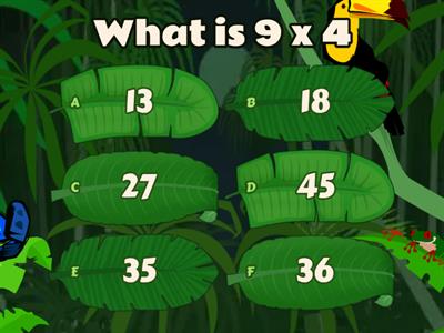 9 times table practice