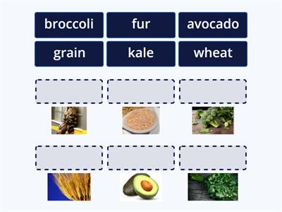 vocab