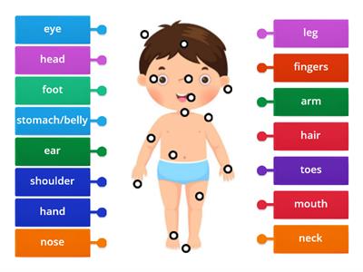 Parts of the Body  