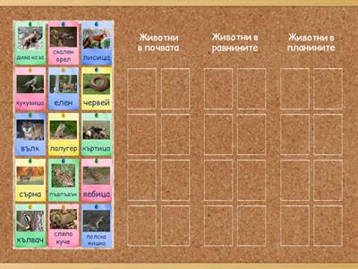 Животните на сушата