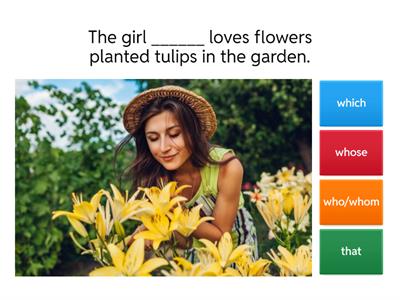 Relative pronouns in Object Relative Clauses