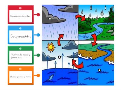CICLO DEL AGUA 1º PRIM