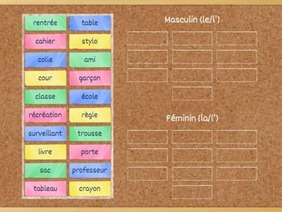 Masculin ou féminin 