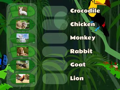 Match The Picture Of This Animal With Its Name !