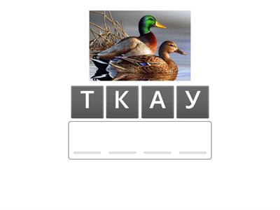 Средний уровень