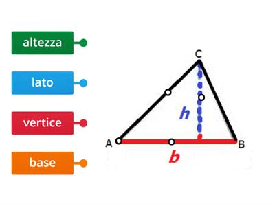 Parti di un triangolo