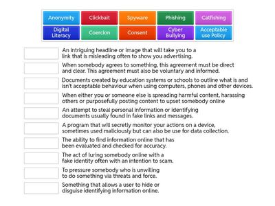 Internet Safety Matchup