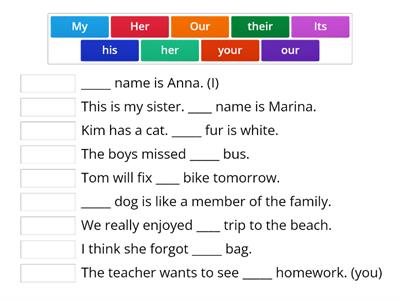 Possessive adjectives