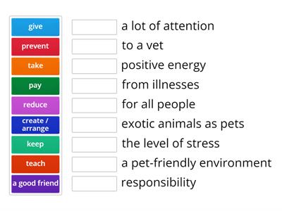 OGE_Speaking 3_Pets_Vocabulary