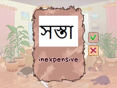 でき日初級5課（BEN＆EN→JP）