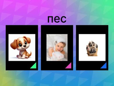 Літера П. Слова