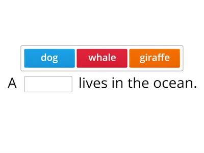G23 combination letters-missing words