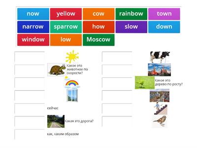 Rainbow English 3 Unit 3 Step 1