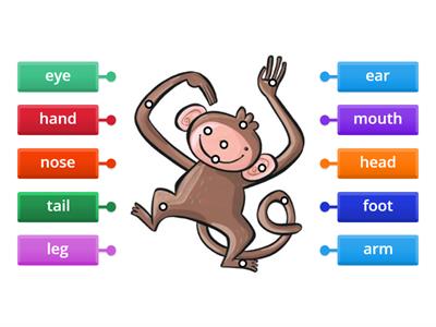 KB 1 Unit 7 Wild animals (Diagram)