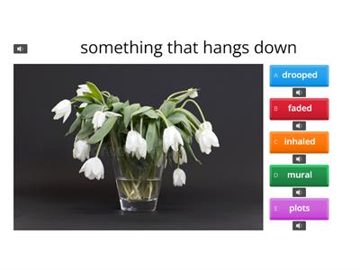 2nd My View U4 W3 Vocab. 