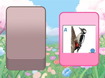 Дифференциация Д-Т