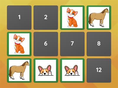 Animals super minds starter