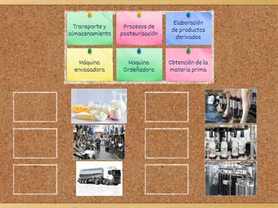 Circuito productivo de la leche