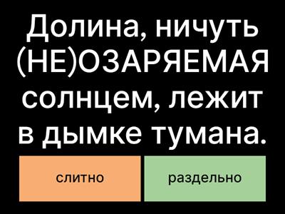 ЕГЭ 13. НЕ со словами на -МЫЙ