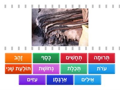 Mishkan Memory - Parshat Terumah II