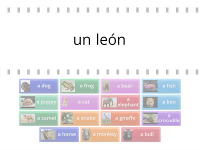 Y2 Los animales Find the match