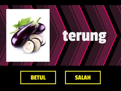 SAYUR-SAYURAN 