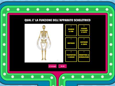 GLI APPARATI E I CINQUE SENSI DEL CORPO UMANO