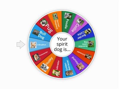 Your Spirit Dog