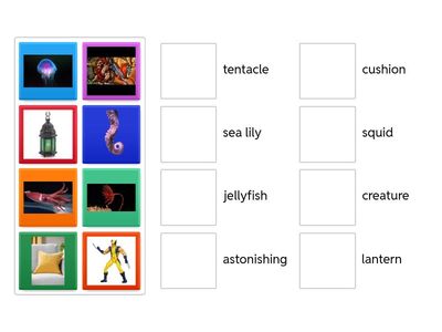 English world Grade 5 