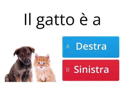 destra e sinistra