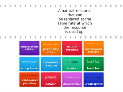 Human Impact on the Environment