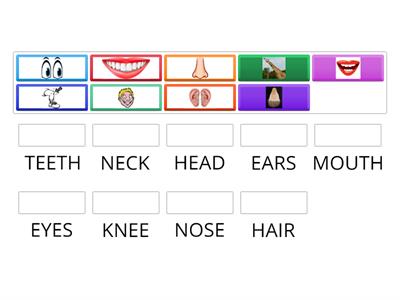 Parts of the face