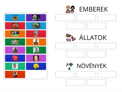 Állatok-növények-emberek