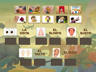 Los Cinco Sentidos: Tus Superpoderes ¡Descubre tus poderes mágicos!