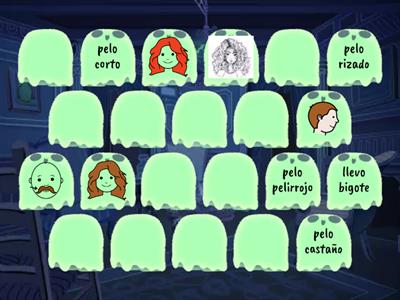 descripcion 1st year