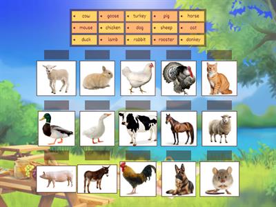 Domestic animals BASIC English A1
