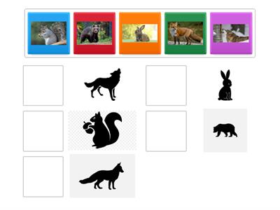 appaiamento animali ombre