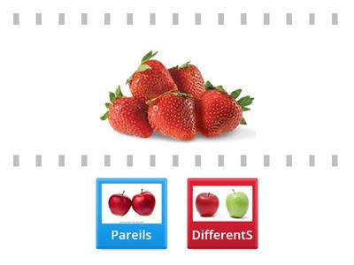 Chapitre 1: PAREILS OU DIFFERENTS?