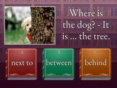 Prepositions of place