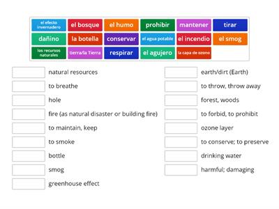 Medio Ambiente B - inglés